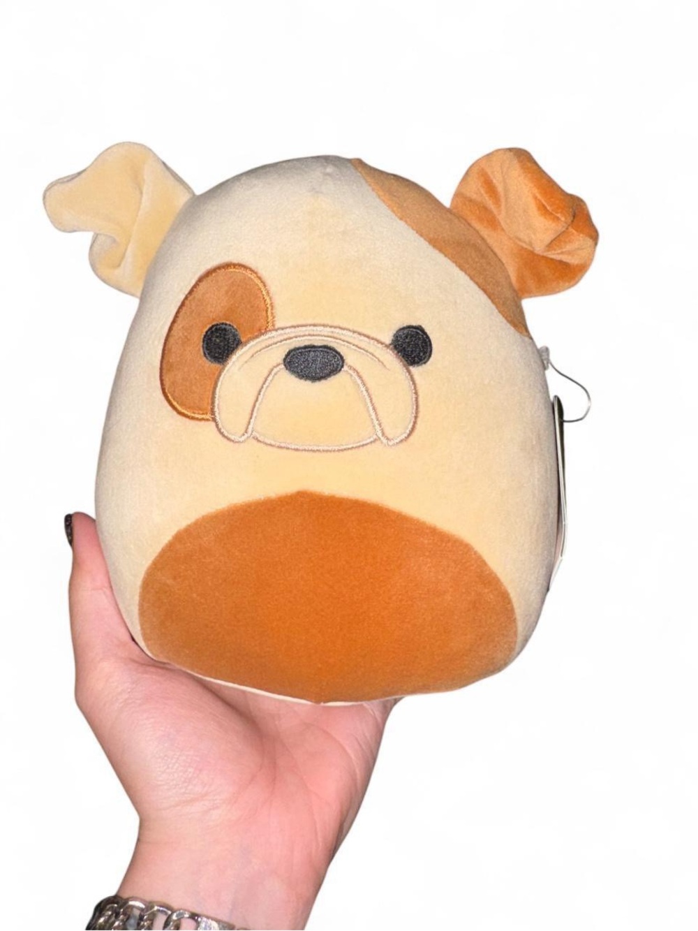 Squishmallow - Griz